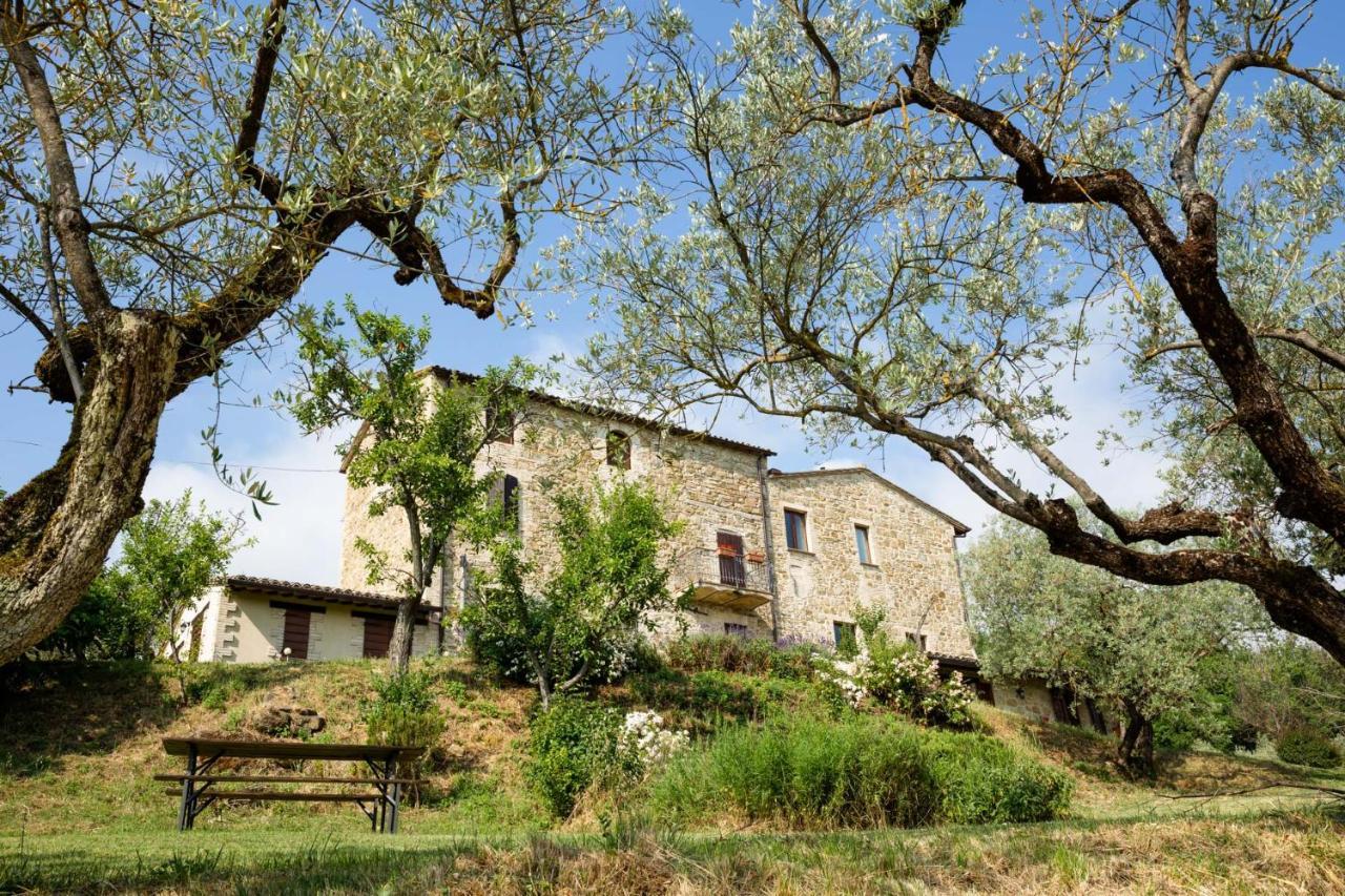 Villa Colle Di Rocco Limigiano Exterior photo